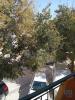 Acheter Maison LOULE rgion FARO