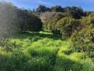 Acheter Terrain 1120 m2 ALBUFEIRA