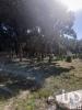 Acheter Terrain ALCOBACA rgion LEIRIA