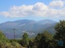 Annonce Vente Terrain ANDORINHA