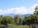 Acheter Terrain ANDORINHA rgion COIMBRA