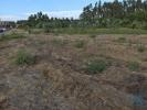 Acheter Terrain 2680 m2 OVAR