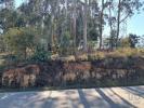 Annonce Vente Terrain AGUA-FORMOSA