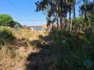 Acheter Terrain 2154 m2 AGUA-FORMOSA