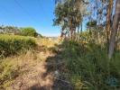 Acheter Terrain AGUA-FORMOSA rgion LEIRIA