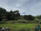 Acheter Terrain AGUA-DE-PAU rgion ACORES
