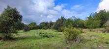 Acheter Terrain 9870 m2 LOULE