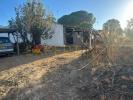 Annonce Vente Maison TAVIRA