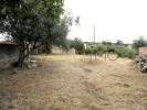Vente Terrain POMBAL 3100