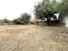 Annonce Vente Terrain POMBAL