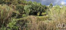 Acheter Terrain 23970 m2 PORTIMAO