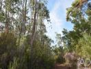 Acheter Terrain 5400 m2 ALEM-DA-RIBEIRA