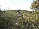 Acheter Terrain 7822 m2 LOULE