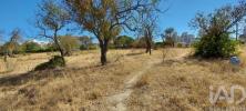 Acheter Terrain 21930 m2 ALCANTARILHA