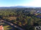 Vente Terrain VILA-NOVA-DE-POIARES 3350