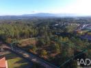 Annonce Vente Terrain VILA-NOVA-DE-POIARES