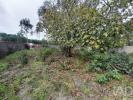Annonce Vente Terrain CANTANHEDE