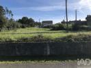 Acheter Terrain ANSIAO rgion LEIRIA