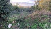 Vente Terrain POMBAL 3100