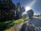 Acheter Terrain ANADIA r�gion AVEIRO