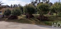 Annonce Vente Terrain LEIRIA