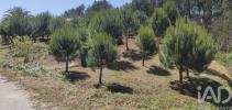 Acheter Terrain 2500 m2 LEIRIA