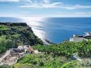 Acheter Terrain ARCO-DA-CALHETA r�gion MADEIRA