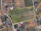 Acheter Terrain PALMELA r�gion SETUBAL