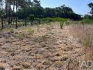 Acheter Terrain 310 m2 ESPOSENDE
