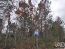 Annonce Vente Terrain SABUGAL