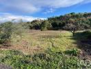 Annonce Vente Terrain TORRES-VEDRAS
