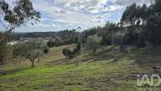 Acheter Terrain CADAVAL r�gion LISBOA