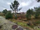 Acheter Terrain 560 m2 ALCOBACA