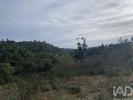 Vente Terrain SAO-BRAS-DE-ALPORTEL 8150