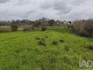 Annonce Vente Terrain ALCOBACA