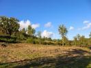 Acheter Terrain MONCHIQUE r�gion FARO