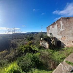 Annonce Vente Terrain Loule