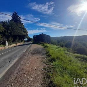 Acheter Terrain 6956 m2 Loule