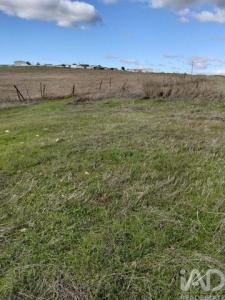 Vente Terrain Beja  02