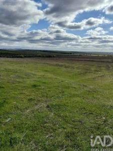 Annonce Vente Terrain Beja