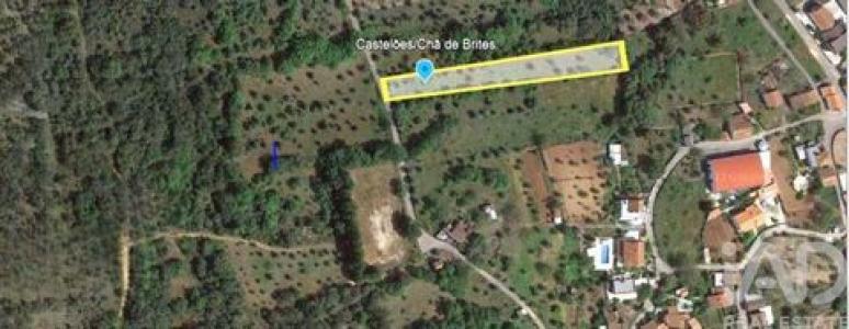 Annonce Vente Terrain Ferreira-do-zezere