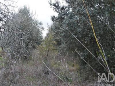 Acheter Terrain 1200 m2 Ferreira-do-zezere