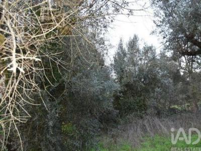 Acheter Terrain Ferreira-do-zezere r�gion SANTAREM