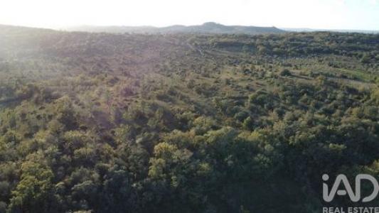 Annonce Vente Terrain Ferreira-do-zezere