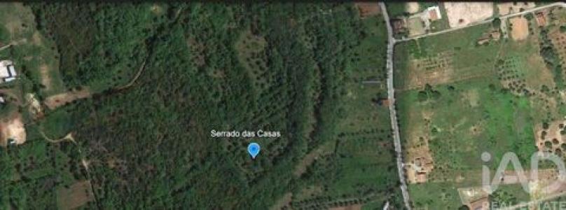 Annonce Vente Terrain Ferreira-do-zezere