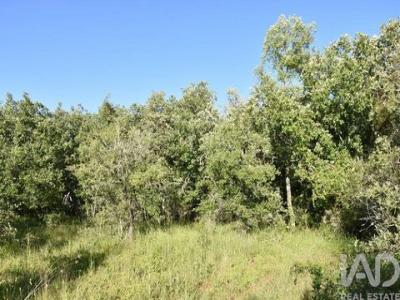 Acheter Terrain 1440 m2 Ferreira-do-zezere