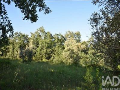 Acheter Terrain Ferreira-do-zezere r�gion SANTAREM