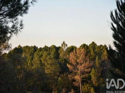 Annonce Vente Terrain Ferreira-do-zezere