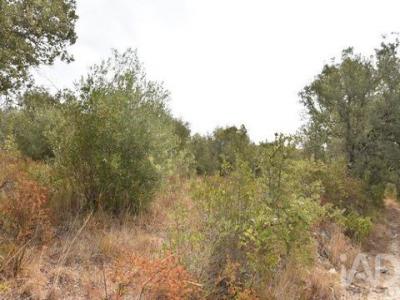 Acheter Terrain Ferreira-do-zezere r�gion SANTAREM