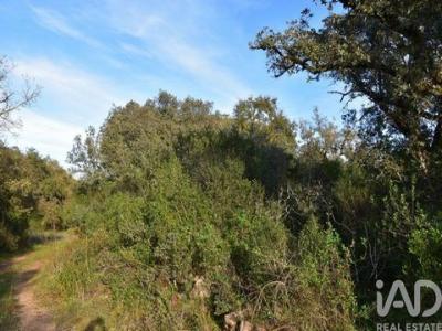 Acheter Terrain Ferreira-do-zezere r�gion SANTAREM